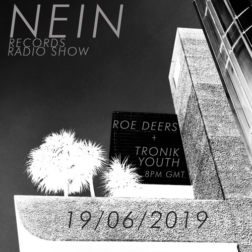 NEIN RECORDS RADIO SHOW JUNE 2019 / ROE DEERS - TRONIK YOUTH