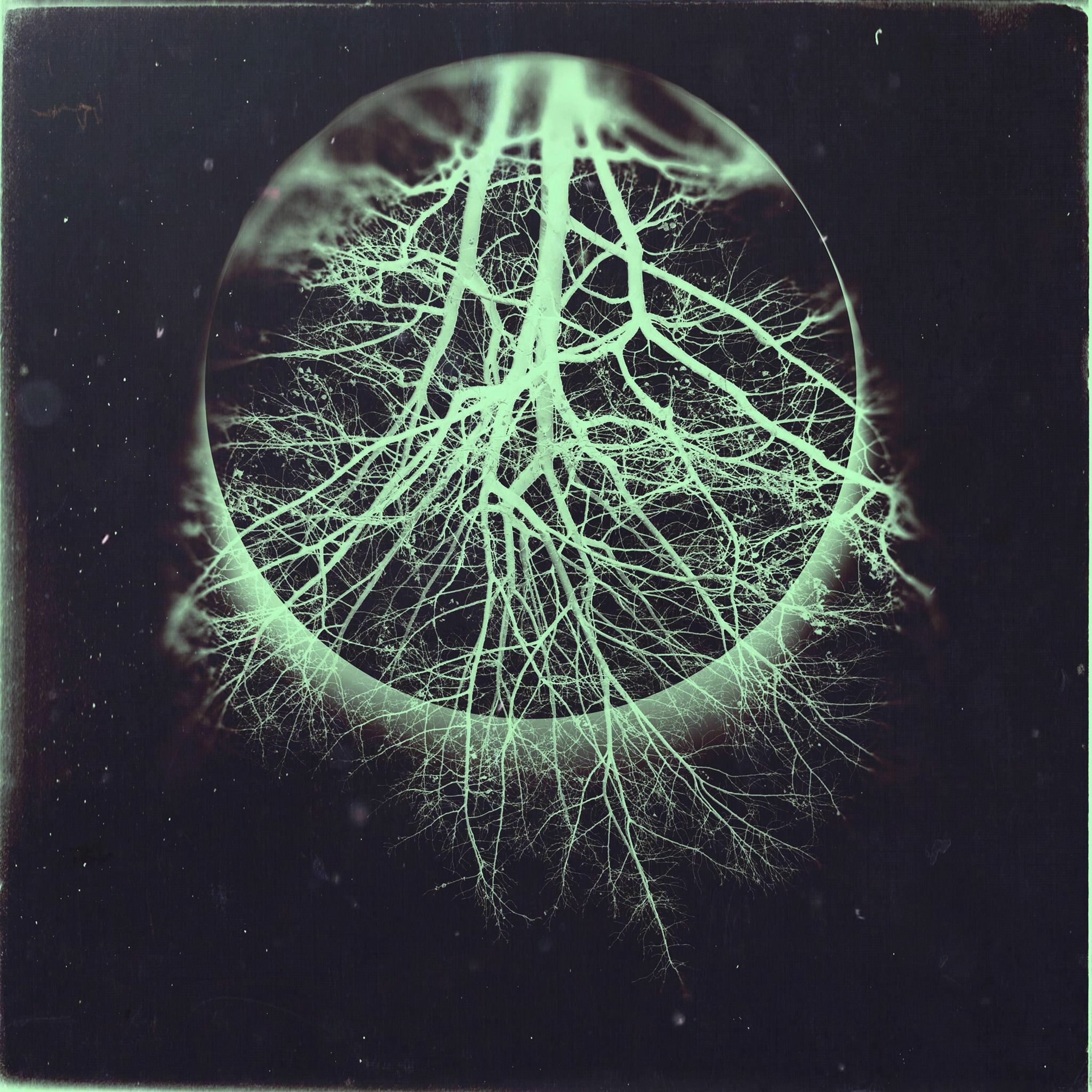 Vlimmer - Bankrott (Single Edit) episode artwork