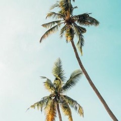 Brion & Langtry - Blue Skies