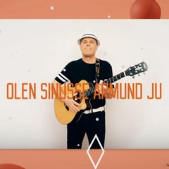 PS Troika - Armund Ju