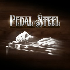 PEDAL STEEL: "Dust" (Dressed) by Henning Nugel