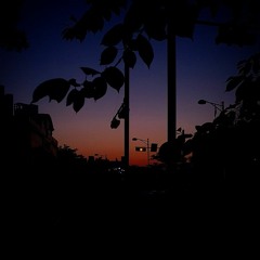 GONE (Prod. WARM&BAD)