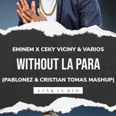 Eminem vs Ceky Viciny & Varios - Without En Para (Pablonez & Cristian Tomás Mashup Edit)