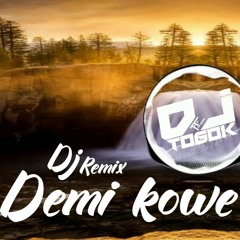 Dj remix demi kowe by togok cakarcakaran