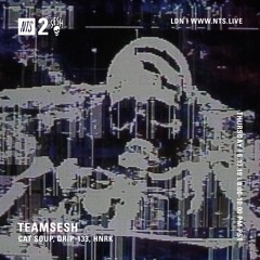 TeamSesh NTS 13th June 2019: cat soup, drip-133 & hnrk