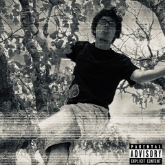 Freestyle of T disstlye