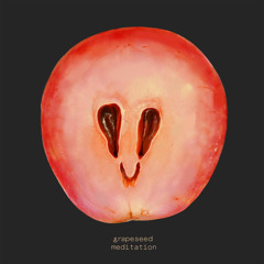 Gavin Hardkiss - Grapeseed Meditation (Oona Dahl Remix)