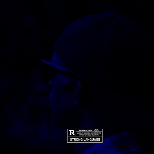 IntroSPXN