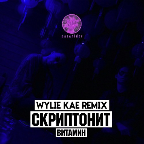 Скриптонит - Витамин (Wylie Kae Remix)
