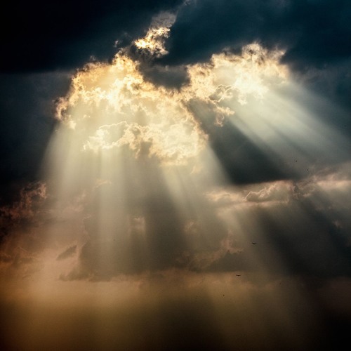 Rise from Above