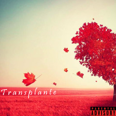 Transplante