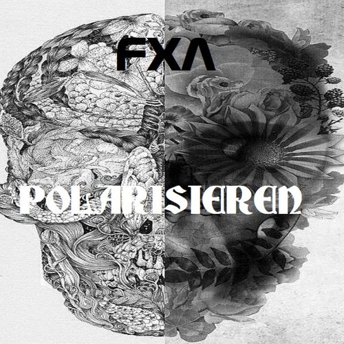 Polarisieren