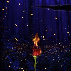 Burning Rose (Ashley Diss)