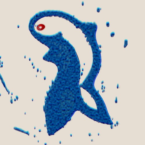 Stillborn Whale