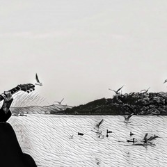 tuğkan, el gibi (sezen aksu cover)