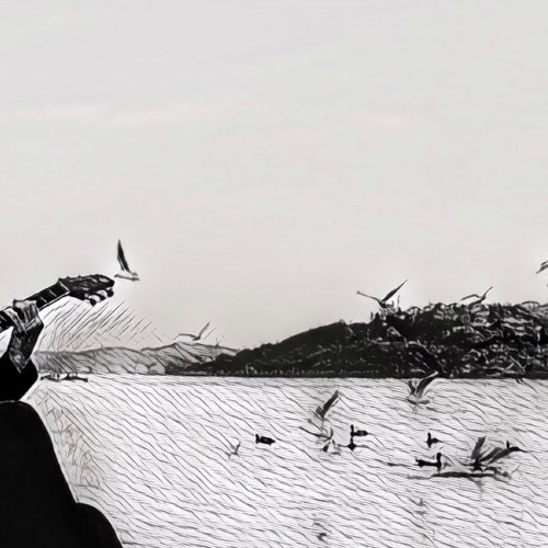 tuğkan, el gibi (sezen aksu cover)