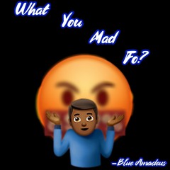 What You Mad Fo? (prod.NextLane Beats)