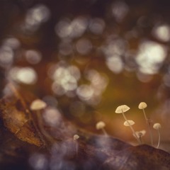 All The Little Things