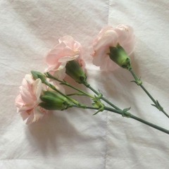 tunes for the soul ♡