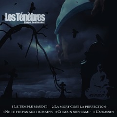 02 - La Mort C'est La Perfection