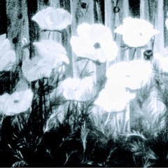 the girl listening to this