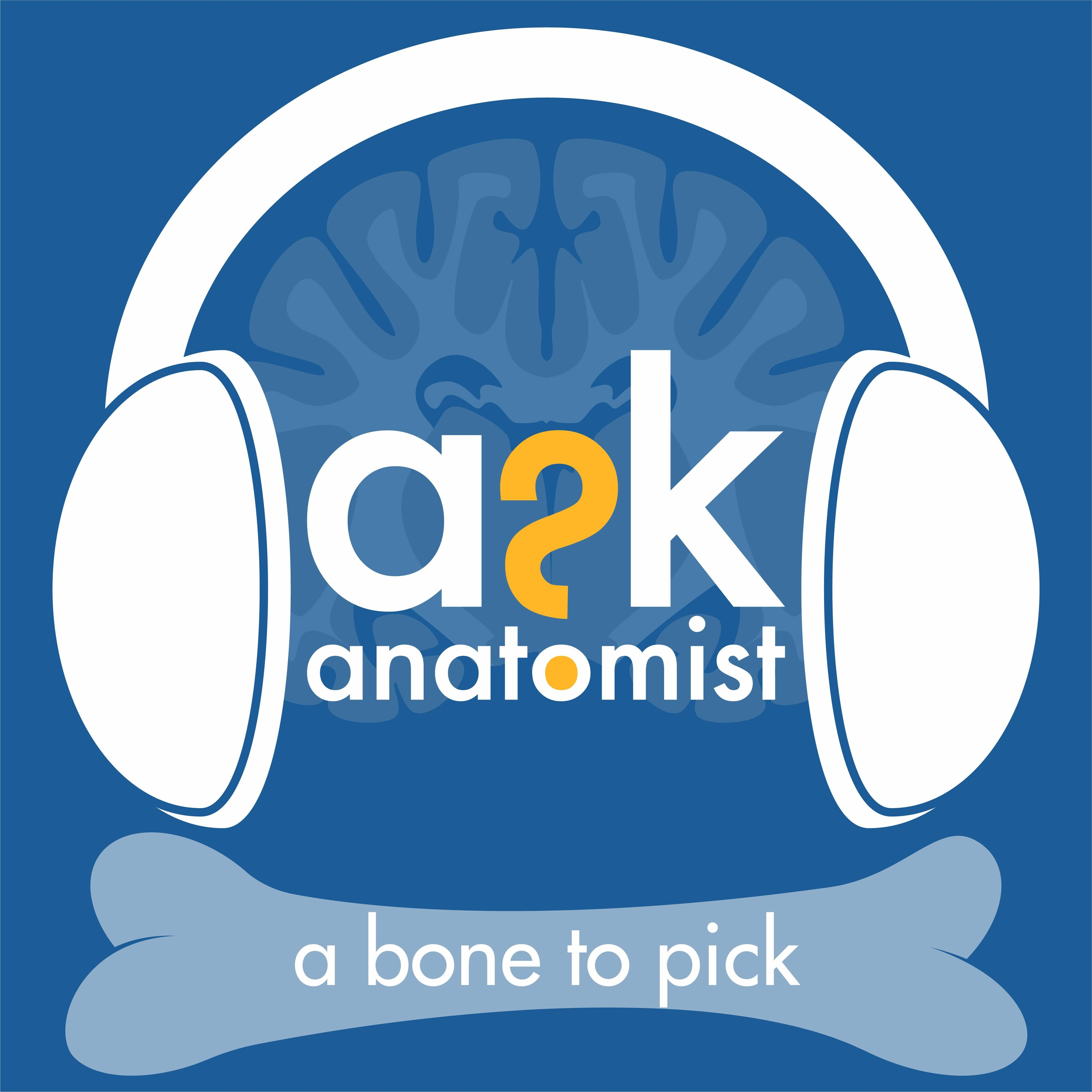 A Bone to Pick - Episode 0: Welcome