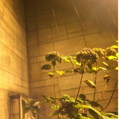 ukulele in the other room