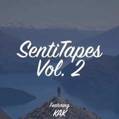 SentiTapes Vol. 2