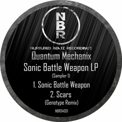 Quantum Mechanix - Sonic Battle Weapon (feat Tiímea Kovàcs) Clip