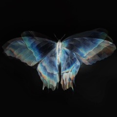 The City (Freestyle)