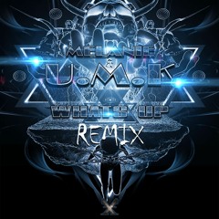 U.M.K & MELANIE- WHATS UP (REMIX) (X)