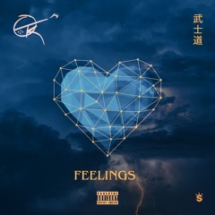 Feelings