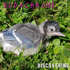 Discovering (Single Version)