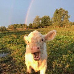 FUCK DAIRY feat. TILTEDMANE [PROD.ROCSTEDY]