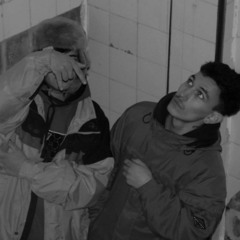 T36L0X X CROVE -  Sharks Transparentes