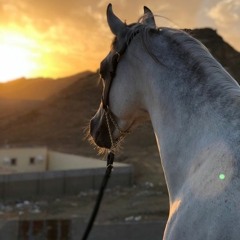 عزف دحية حريقة نااار -- --------ان صار الطخ طرخ طر(MP3_160K).mp3