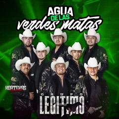 Grupo Legitimo - Huapango Agua de las Verdes Matas / En Vivo 2019