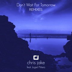 Don't Wait For Tomorrow (David Ritt Remix)