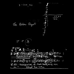 The Biber Project - Corde, Tasti, Numeri