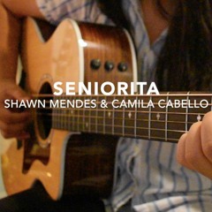 Seniorita - Shawn Mendes & Camila Cabello - Fingerstyle Guitar Cover