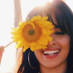 Shawn Mendes, Camila Cabello - Señorita (COVER)