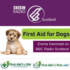 BBC Radio Scotland - First Aid for Dogs