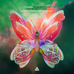 Tritonal feat. Rachel Platten - Little Bit Of Love (Simon Skylar Remix)