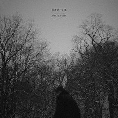 Capitol - Blondie