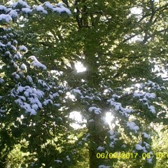 nomame(backing track from joye