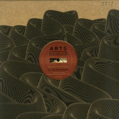 A1. Luis Flores - The Collapse