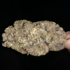 redd-road runner.mp3