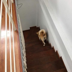 Bản Ghi Mới 53