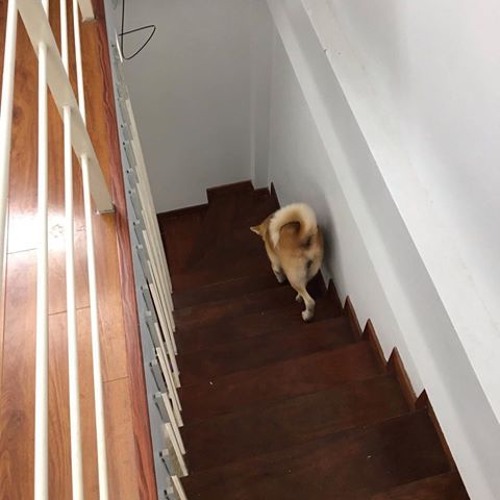 Bản Ghi Mới 53