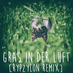 CSNTC - Gras In Der Luft [Rypzylon Remix]
